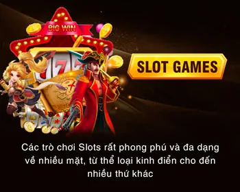 Chương trình VIP 13wi